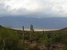 photo thumbnail #2