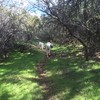 photo thumbnail #12