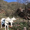 photo thumbnail #14