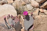 photo thumbnail #15