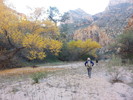 photo thumbnail #10