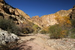 photo thumbnail #13