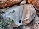 photo thumbnail #4