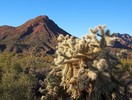 photo thumbnail #13