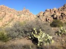 photo thumbnail #5