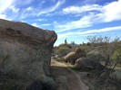 photo thumbnail #6