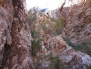 photo thumbnail #8