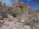 photo thumbnail #9