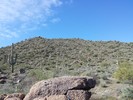 photo thumbnail #1