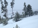 photo thumbnail #5