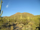 photo thumbnail #1