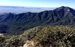 photo thumbnail #4