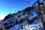 photo thumbnail #15