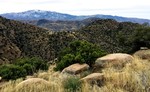 photo thumbnail #7