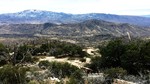 photo thumbnail #11