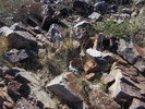 photo thumbnail #2
