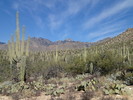 photo thumbnail #9