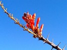 photo thumbnail #2