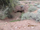 photo thumbnail #1