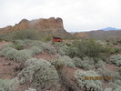 photo thumbnail #3