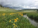 photo thumbnail #8