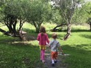 photo thumbnail #3