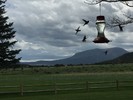 photo thumbnail #12