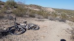 photo thumbnail #2