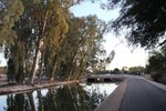 photo thumbnail #5