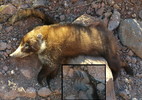 photo thumbnail #1