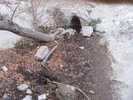photo thumbnail #7
