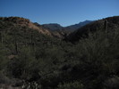 photo thumbnail #11