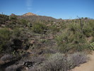 photo thumbnail #12