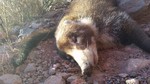 photo thumbnail #1
