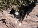 photo thumbnail #3