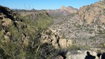 photo thumbnail #9