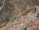 photo thumbnail #12