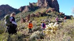 2016-01-01 :1: Roblas Butte :: kingsnake