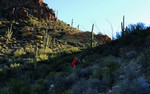 photo thumbnail #3