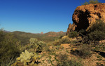 photo thumbnail #6
