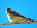 photo thumbnail #9