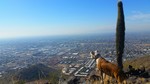 photo thumbnail #1