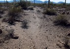 photo thumbnail #9