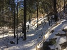 photo thumbnail #4