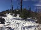 photo thumbnail #6