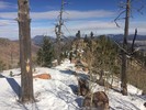 photo thumbnail #7