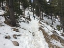 photo thumbnail #12