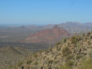 photo thumbnail #5