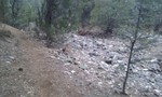 photo thumbnail #4