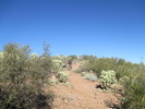 photo thumbnail #4